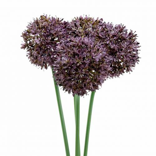 Floristik21 Zierlauch Allium künstlich Lila Ø7cm H58cm 4St