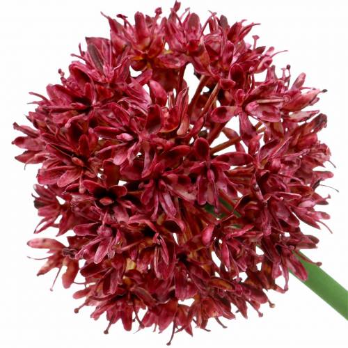 Artikel Zierlauch Allium künstlich Mauve Ø7cm H58cm 4St