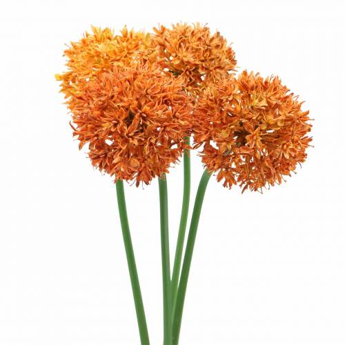 Floristik21.de Zierlauch H58cm künstlich Allium Orange Ø7cm 4St-68477