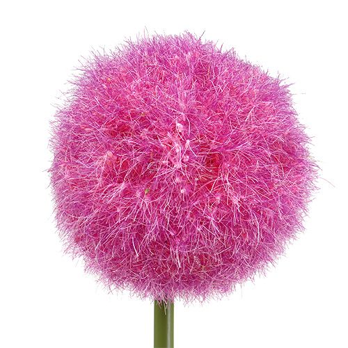 Artikel Allium 68cm Pink-Lila