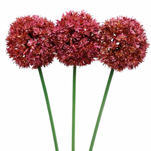 Floristik21 Zierlauch Allium künstlich Mauve Ø9cm H70cm 3St