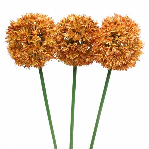 Floristik21 Zierlauch Allium künstlich Orange 70cm 3St