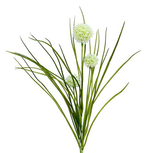 Floristik21 Allium Creme mit Gras 65cm 3St