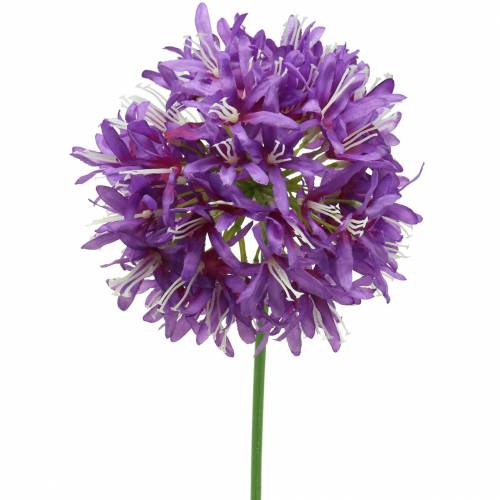 Floristik21 Zierlauch Allium künstlich Lila Ø12cm H62cm