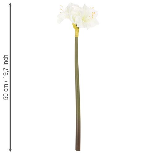 Kunstblume Amaryllis Weiß mit Stiel 50 cm für Advent und Weihnachten | Floristik21.de