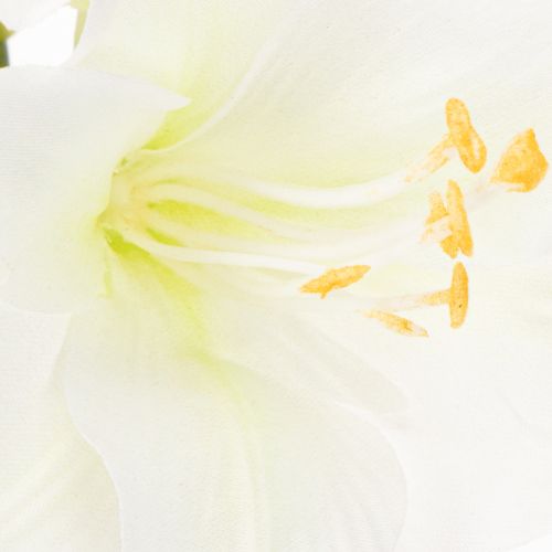 Kunstblume Amaryllis Weiß mit Stiel 50 cm für Advent und Weihnachten | Floristik21.de