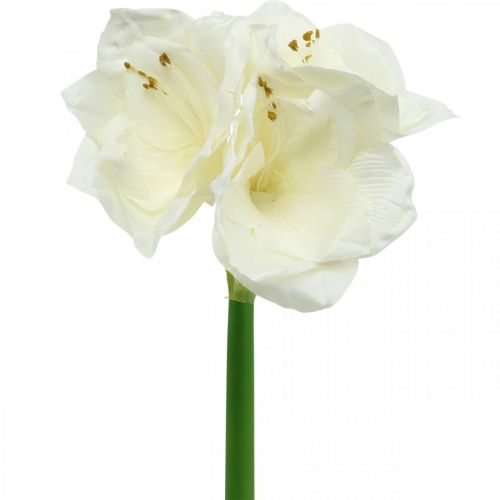 Floristik21 Kunstblume Amaryllis Weiß Ritterstern Weihnachtsdeko H40cm