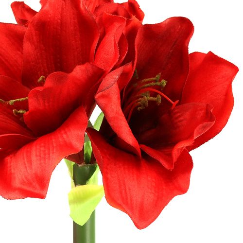Floristik21 Amaryllis künstlich 60cm rot