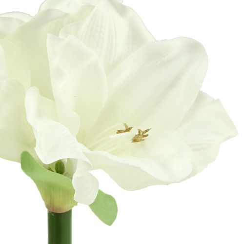 Floristik21 Amaryllis künstlich 60cm weiß