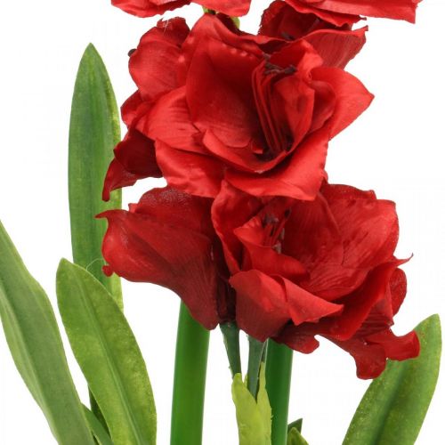 Floristik21 Künstliche Amaryllis Rot 3 Seidenblumen auf Moosballen H64cm