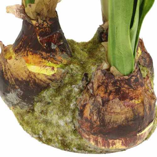Künstliche Amaryllis Rot 3 Seidenblumen auf Moosballen H64cm