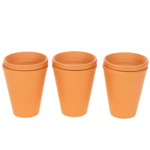 Aquasafe Wasserspeicher mit Insektentränke 12 cm 3er-Set | Floristik21.de