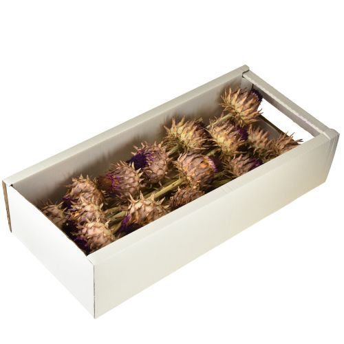 Artikel Artschockenblüte Cynara getrocknet Deko Natur Ø9cm 16 St