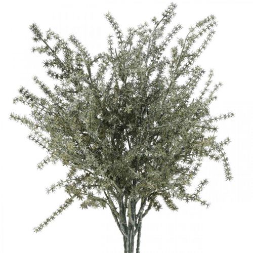 Floristik21 Asparagus Dekozweig Weiß gewaschen Künstlich 45cm 6St