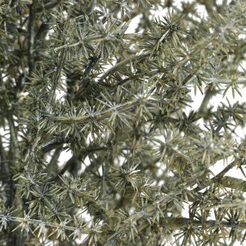 Floristik21 Lärche Dekozweig Weiß gewaschen Künstlich 45cm 6St