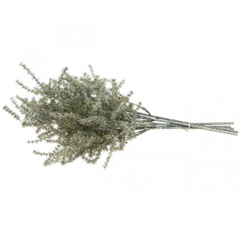 Floristik21 Lärche Dekozweig Weiß gewaschen Künstlich 45cm 6St