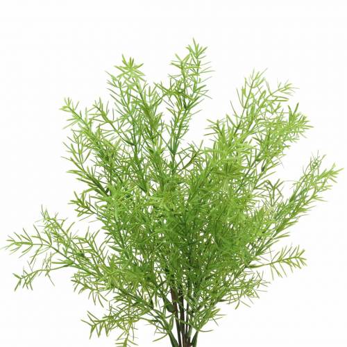 Floristik21 Asparagus Zierspargel künstlich Grün 46cm