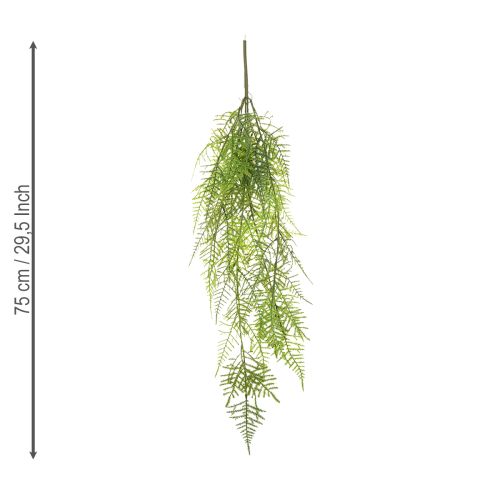 Artikel Künstliche Hängepflanze Asparagus 75 cm für Dekoration und floristische Arrangements