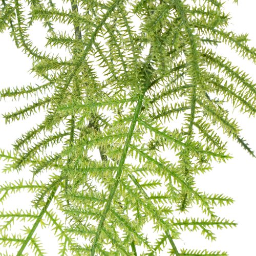 Artikel Künstliche Hängepflanze Asparagus 75 cm für Dekoration und floristische Arrangements