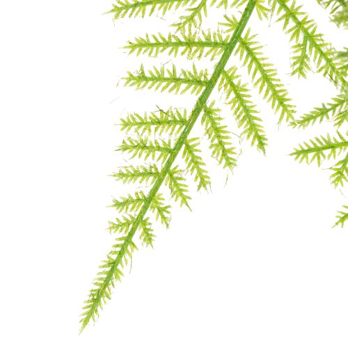 Artikel Künstliche Hängepflanze Asparagus 75 cm für Dekoration und floristische Arrangements