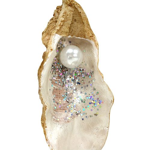 Floristik21 Auster mit Perle und Glimmer zum Hängen 10,5cm