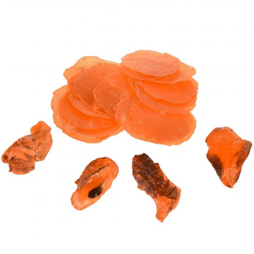Floristik21 Austern Muscheln Capizscheiben im Netz Orange 3,5–9,5cm 2St