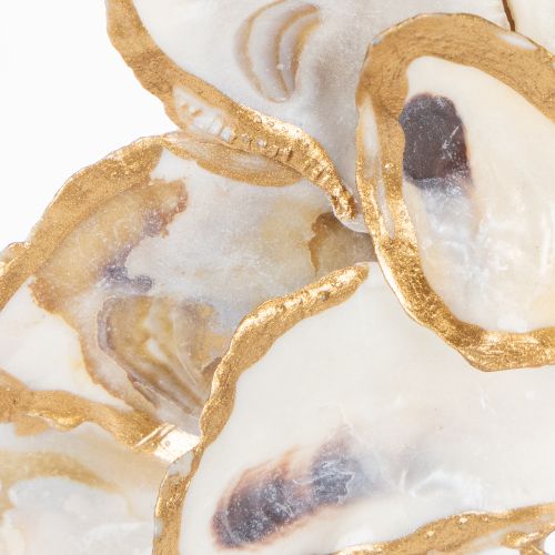 Artikel Dekorativer Austernkranz 12 cm – Maritimer Muschelkranz zur Wand- und Türdekoration