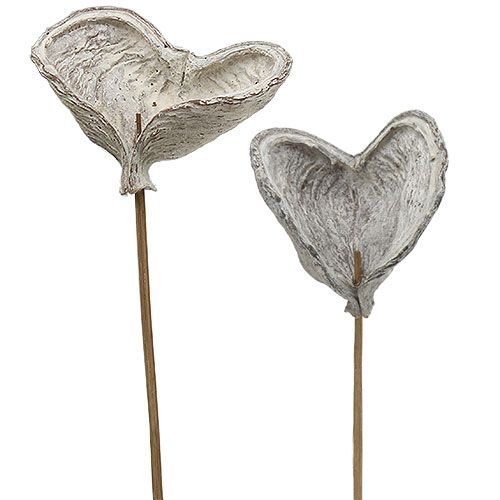 Artikel Badam am Stiel weißgewaschen 12cm L55cm 23 St