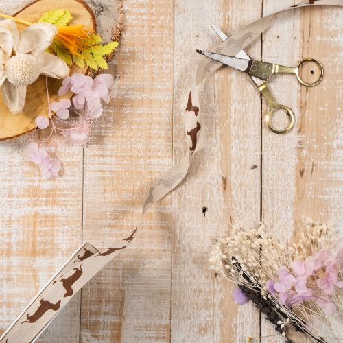 Geschenkband Dackelmotiv 100% Polyester 15mm x 18m Creme-Braun | Floristik21.de