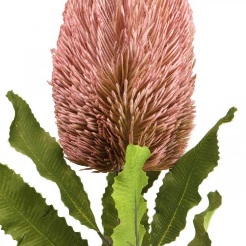 Artikel Kunstblume Banksia Rosa Herbstdeko Gedenkfloristik 64cm