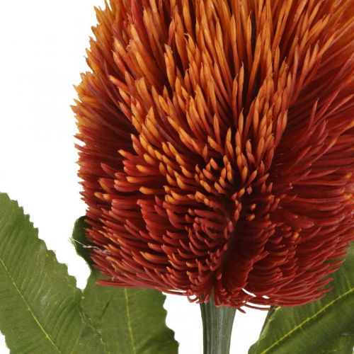 Artikel Kunstblume Banksia Orange Herbstdeko Trauerfloristik 64cm