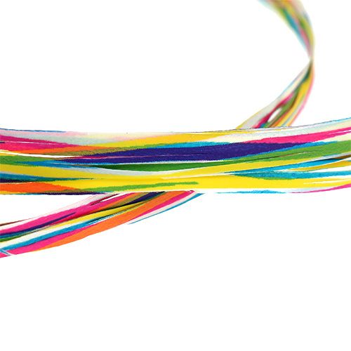 Floristik21 Bast als Dekoband bunt 200m