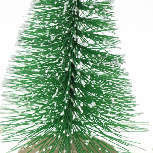 Floristik21 Deko-Tannenbaum Grün beschneit 10cm 6St