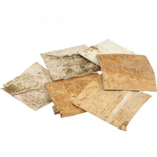 Floristik21 Baumrinde Deko Rinde quadratisch Birkenrinde Natur 10×10cm 6 St