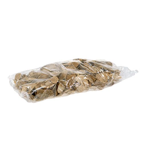 Floristik21 Baumschwamm Natur 2kg