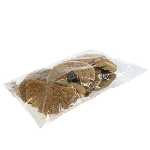 Floristik21 Baumschwamm Natur 500g