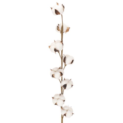 Künstlicher Baumwollzweig mit 8 echten Blüten 78 cm Braun-Weiß für Innenbereich
