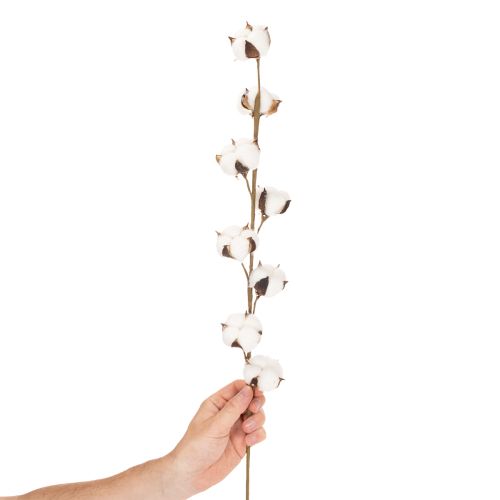 Künstlicher Baumwollzweig mit 8 echten Blüten 78 cm Braun-Weiß für Innenbereich | Floristik21.de