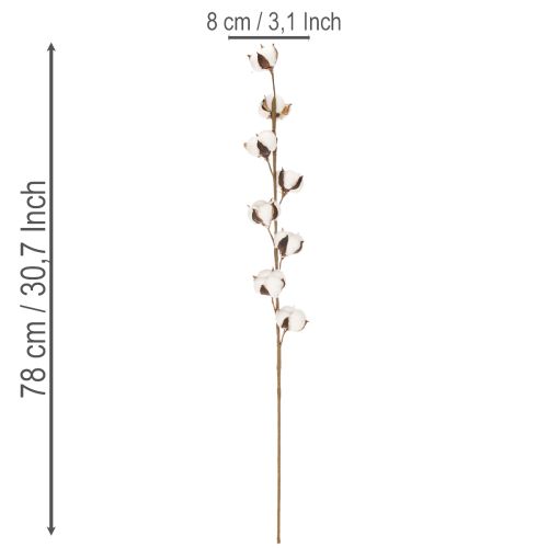 Künstlicher Baumwollzweig mit 8 echten Blüten 78 cm Braun-Weiß für Innenbereich | Floristik21.de