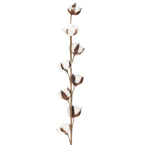 Künstlicher Baumwollzweig mit 8 echten Blüten 78 cm Braun-Weiß für Innenbereich | Floristik21.de