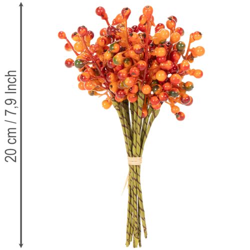 Beerenbund Orange L20cm | Floristik21.de