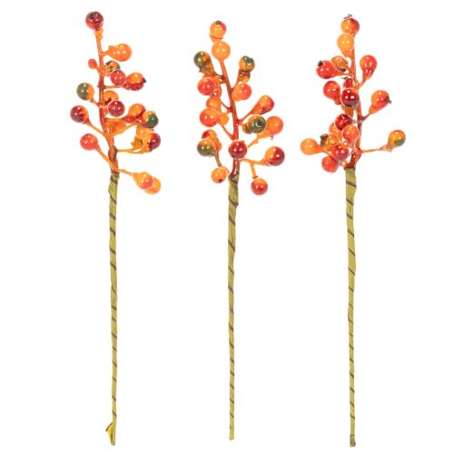 Beerenbund Orange L20cm