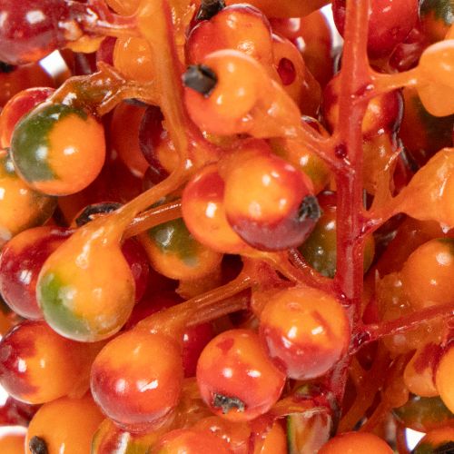 Beerenbund Orange L20cm