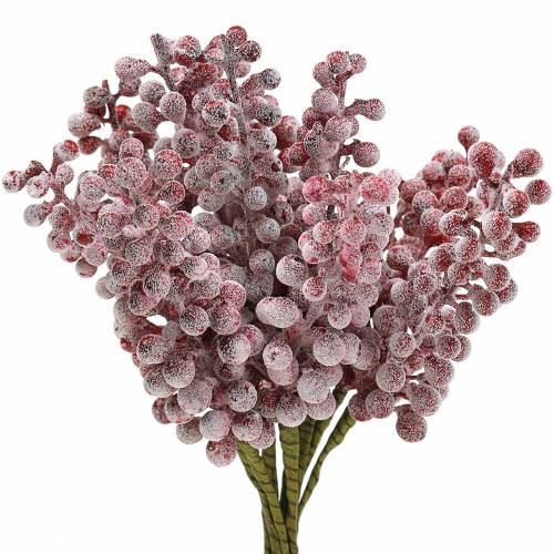 Floristik21 Beerenpick Rot, geeist 21cm 12 St