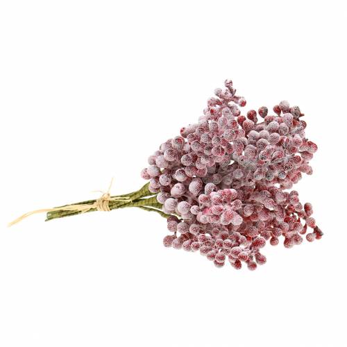 Floristik21 Beerenpick Rot, geeist 21cm 12 St