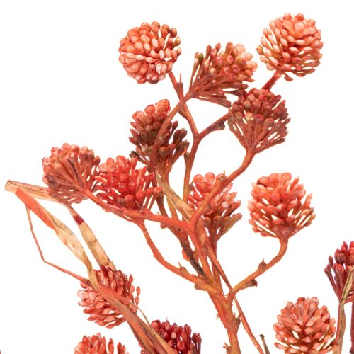 Künstlicher Beerenzweig 68cm Kunststoff Rot-Rosa-Grün Innenbereich | Floristik21.de