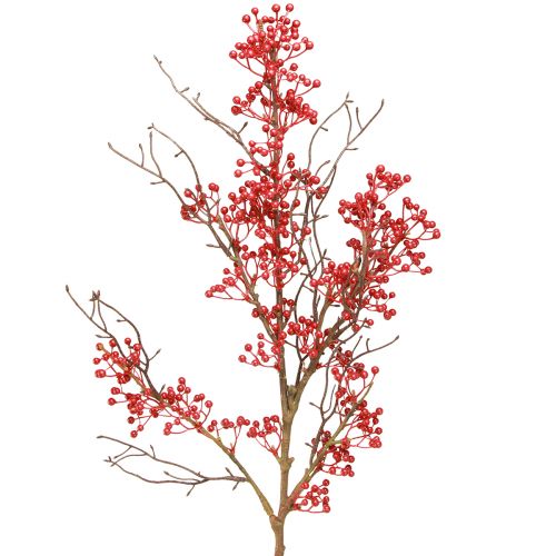 Floristik21 Farbenfroher Kunstzweig mit roten Beeren - Herbstliche Dekoration L78cm