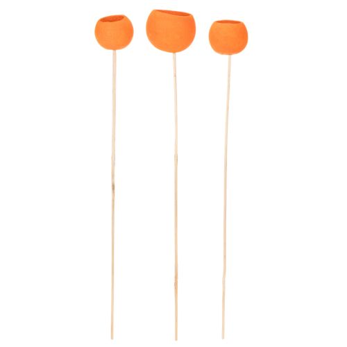 Bell Cup Mix am Stiel Orange 15 St | Floristik21.de