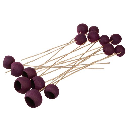 Artikel Bell Cup Trockenblumen Rot, Stiel 15er - Deko Floristik