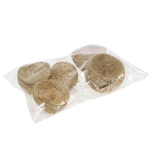 Artikel Trockenfrüchte Bell Cup Natur Deko 8,5-11cm 10 St für Floristik